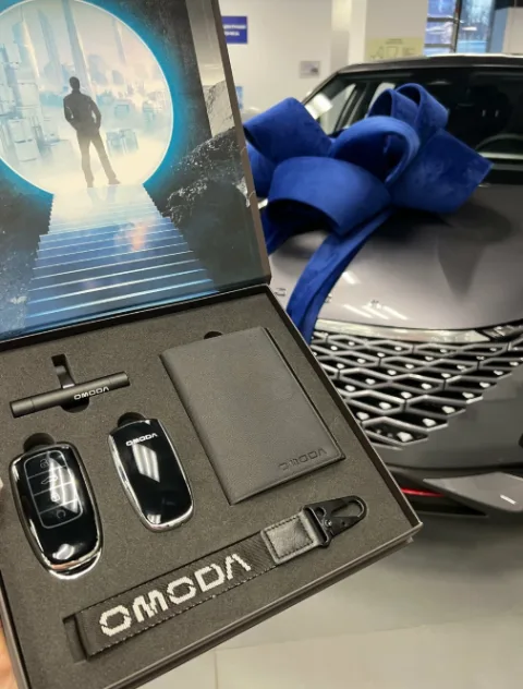 OMODA Оптима Галерея