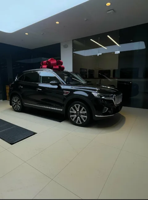 Hongqi Авилон Волгоградский