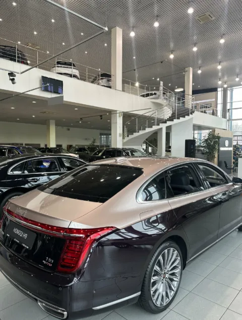 Hongqi Мэйджор Север
