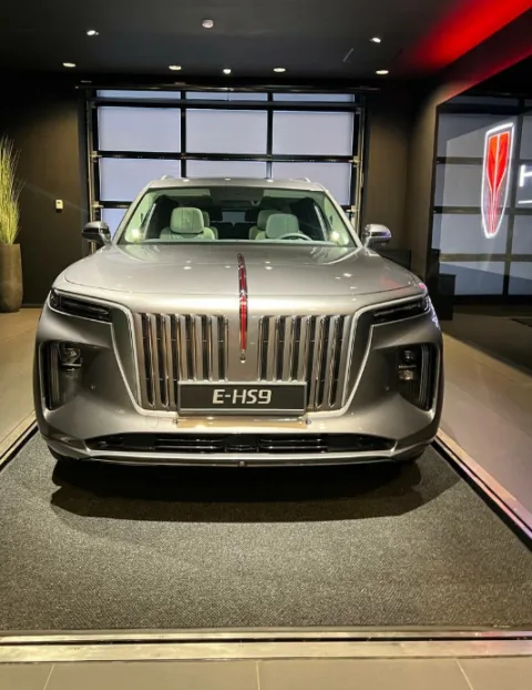 Hongqi, Панавто Запад