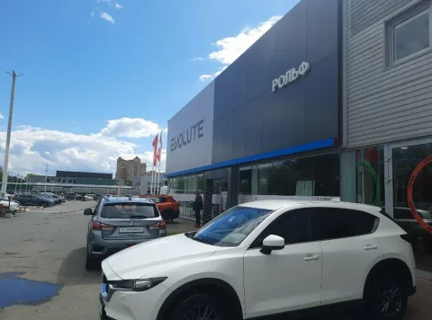 Evolute Рольф Витебский