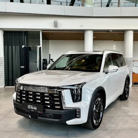 Gac Автобиография