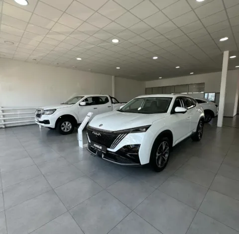 Dongfeng Ринг М