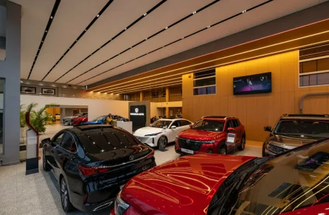 АвтоГЕРМЕС Рябиновая CHANGAN