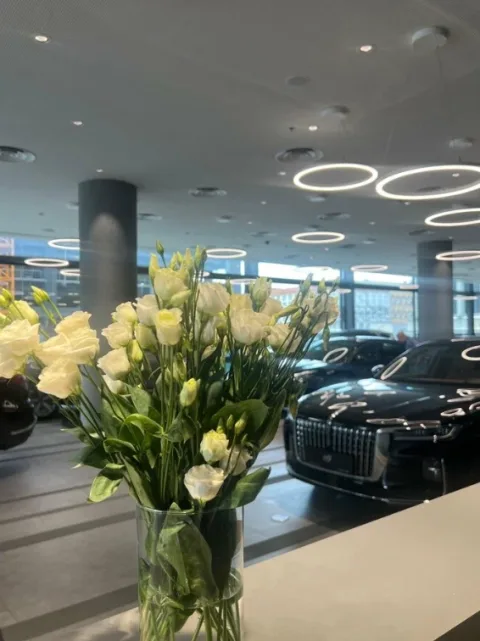 Hongqi Авилон Легенда