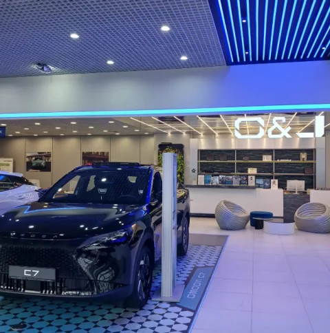 Omoda Автополе