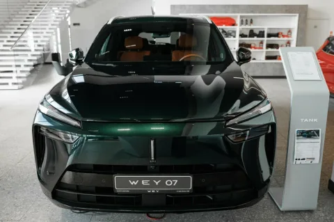 Lucky Motors Wey