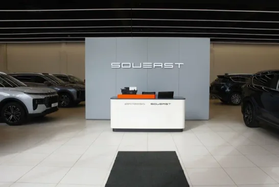 Независимость Soueast Фили