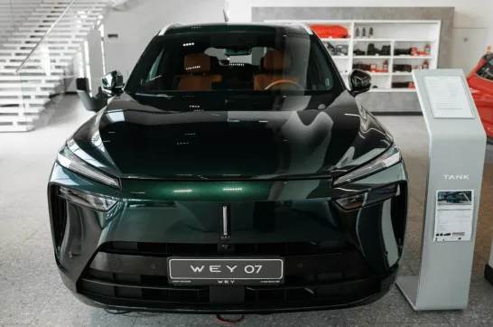 Lucky Motors Wey
