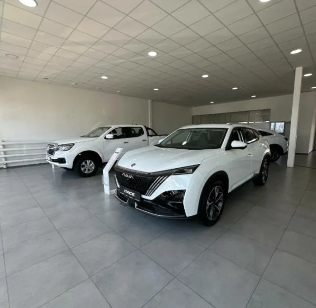 Dongfeng Ринг М