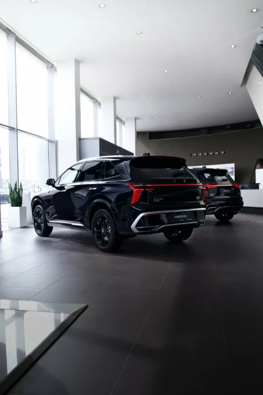 Hongqi, Автодом Восток