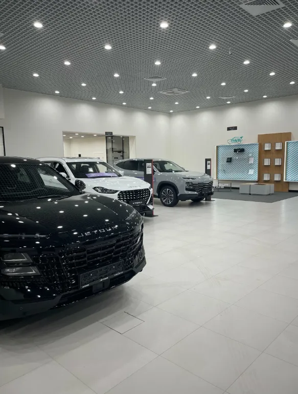 Автополе, JETOUR