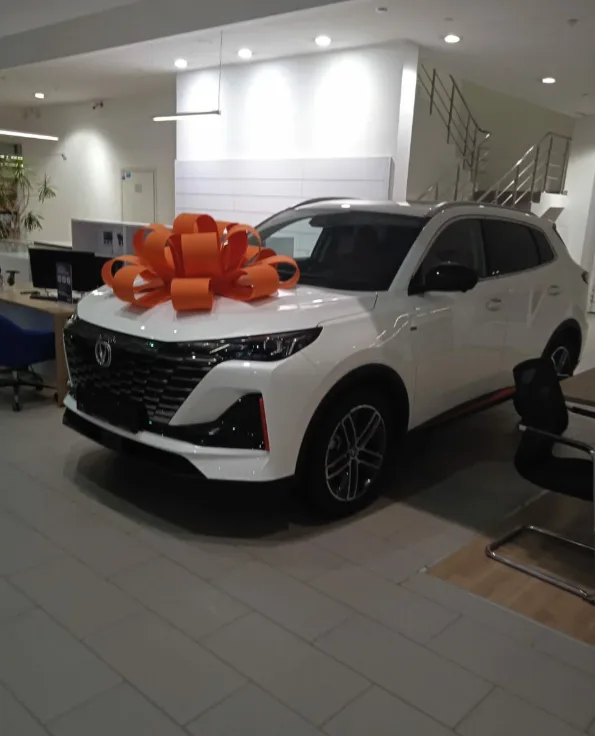 Changan центр, ТрансТехСервис Декабристов