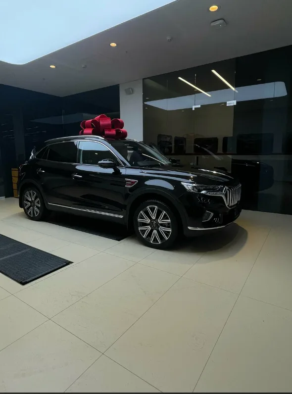 Hongqi Авилон Волгоградский