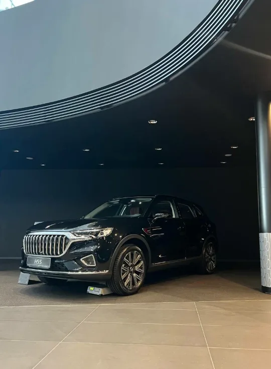 Hongqi, Панавто Запад