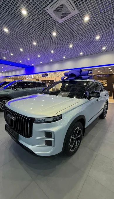 Jaecoo, Автополе