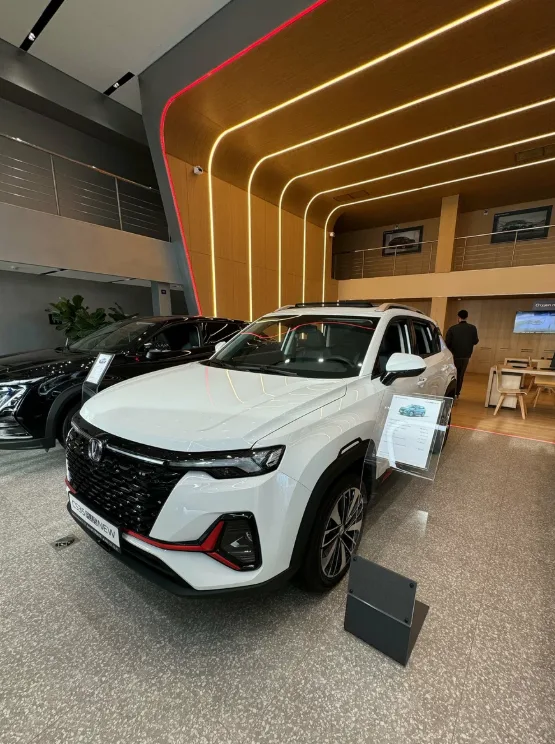АвтоГЕРМЕС Рябиновая CHANGAN