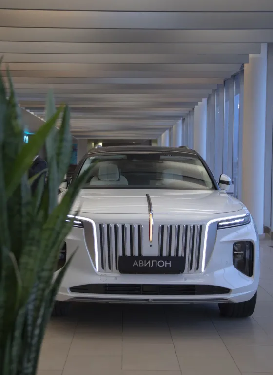 Hongqi Авилон Волгоградский