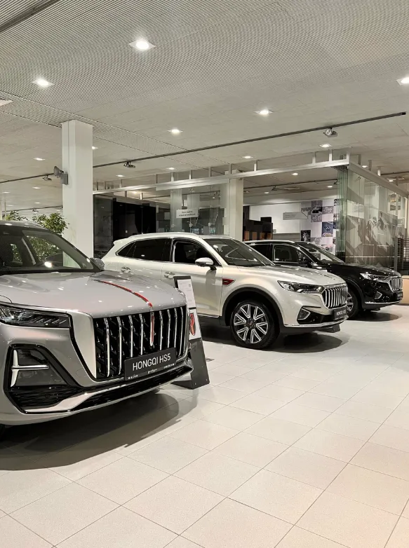 Hongqi Мэйджор Олимп